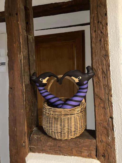 La Sorciere In A Typical Alsatian House Daire Rouffach Dış mekan fotoğraf