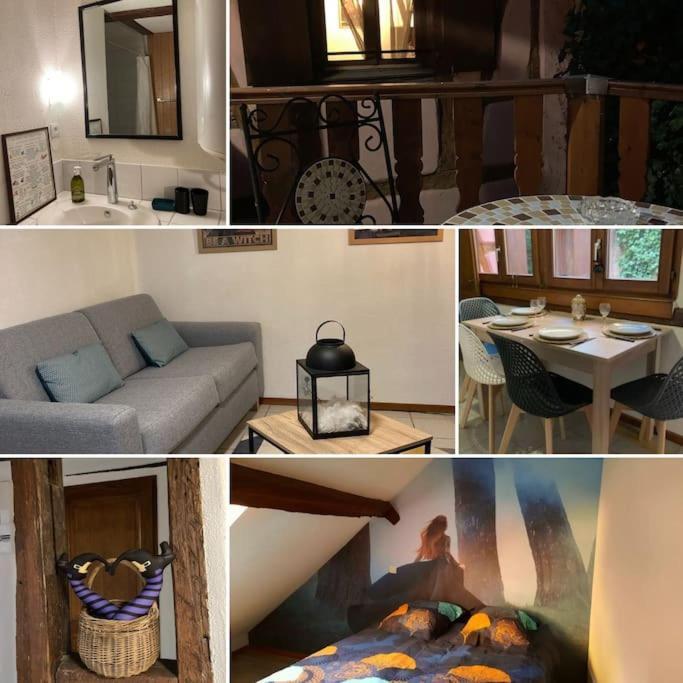 La Sorciere In A Typical Alsatian House Daire Rouffach Dış mekan fotoğraf